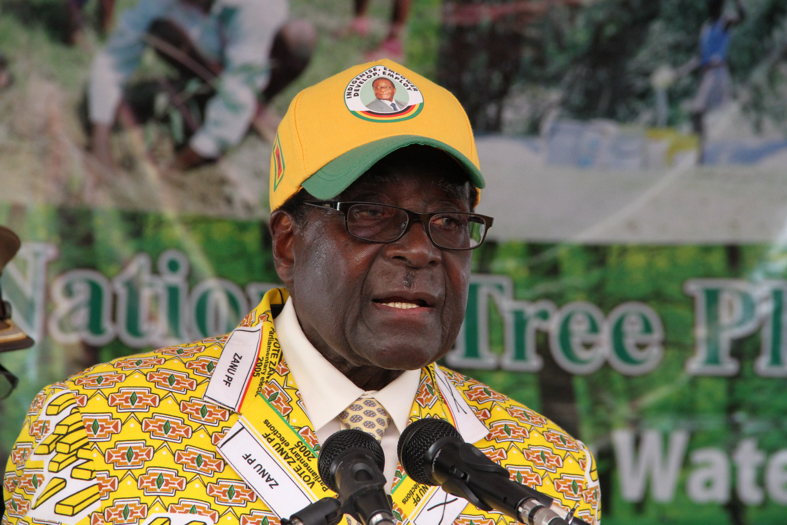 West the real enemy – Mugabe | The Herald