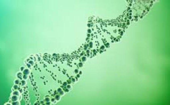 People with a certain gene have an adverse reaction to the antiretroviral efavirenz