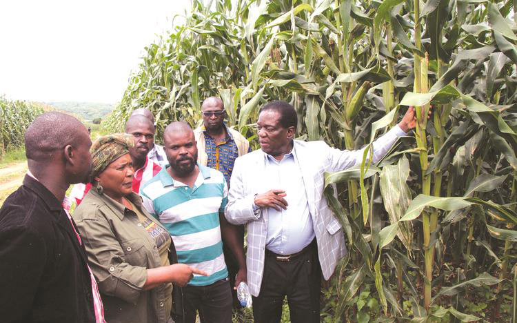 Command Agriculture p has revolutionised Zimbabwe’s agriculture and could thus boost the manufacturing sector which draws 65 percent of its raw material from farm produce