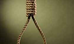 Bullied pupil commits suicide
