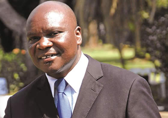 Mines and Mining Development Minister Walter Chidhakwa