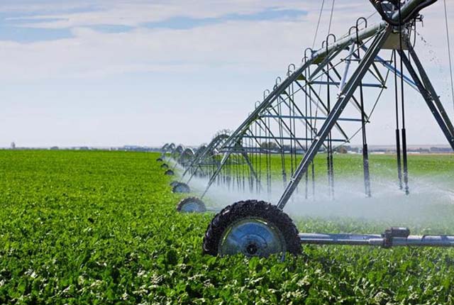 19 000 ha under irrigation in Midlands