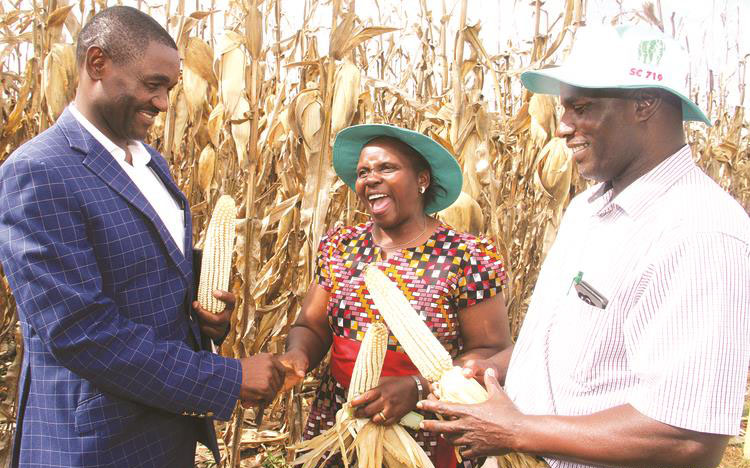 Local and international analysts and institutions have released positive expectations about economic growth, premised on the success of Command Agriculture 