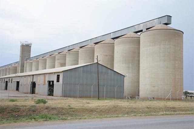 Maize deliveries to Mutare GMB hit 60 000t … More still expected to come
