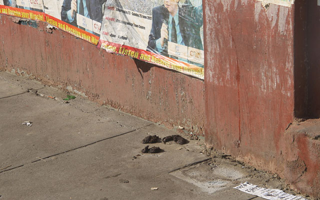 In the absence of toilets, the highly populated Ximex Mall area has been notorious for open defacation and urine stench. — ( Pictures by Tariro Kamangira)