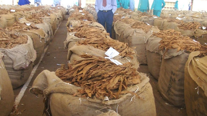 China drives Zim tobacco exports