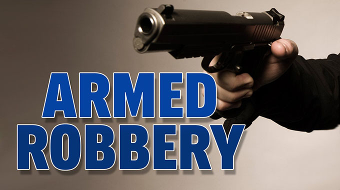 Armed robbers kill farm security guard
