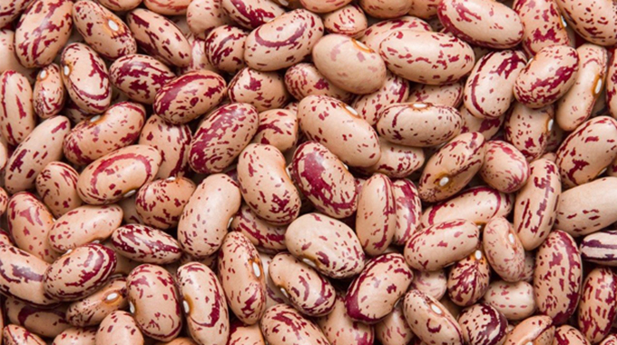 Beans lead the poll for most consumed bio-fortified food