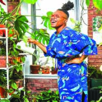 Pandemic lifts appeal of houseplants