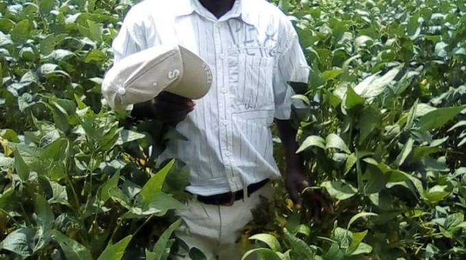 Agritex training contributes to improved service delivery