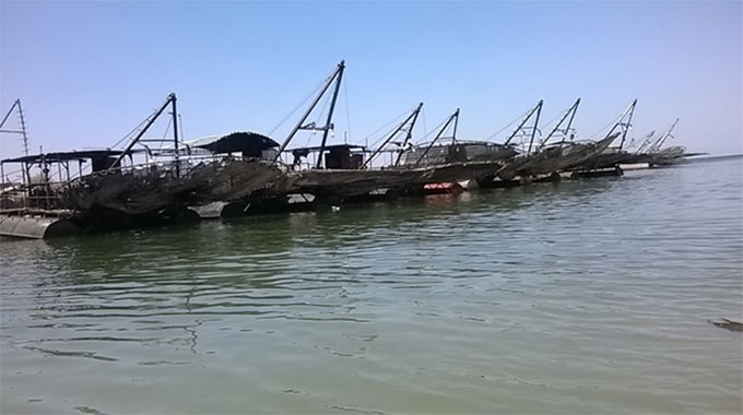 EDITORIAL COMMENT: Fisheries need to be developed, maximised