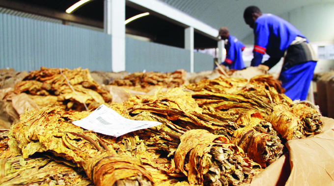 Tobacco farmers earn US$59m, 20 million kilogrammes tobacco sold