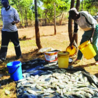 When Govt gives citizens the proverbial fishing rod to improve livelihoods