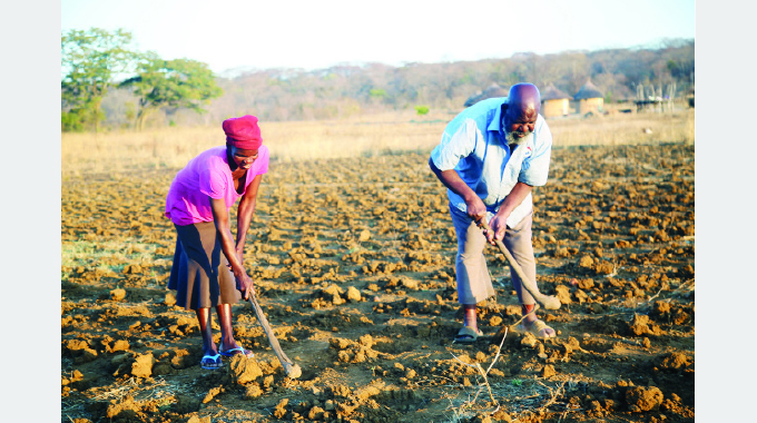EDITORIAL COMMENT: Expanding planting will create rural wealth