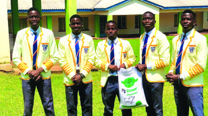 Marist Brothers team shines at business innovation contest
