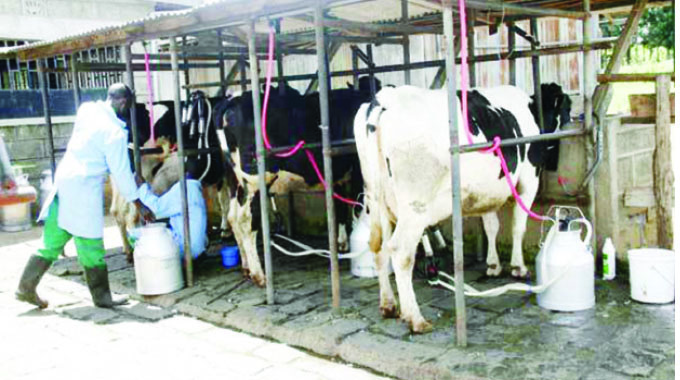 Dairibord partners USAID to enhance milk...